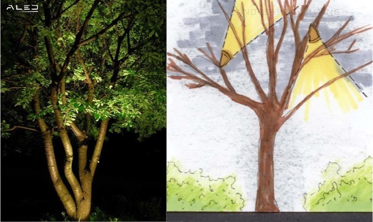 Thiết kế chiếu sáng cảnh quan ánh trăng