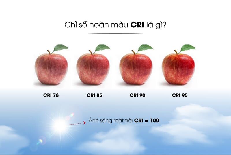 Chỉ số hoàn màu CRI là gì? Ứng dụng CRI trong thiết bị chiếu sáng 1 Chỉ số hoàn màu