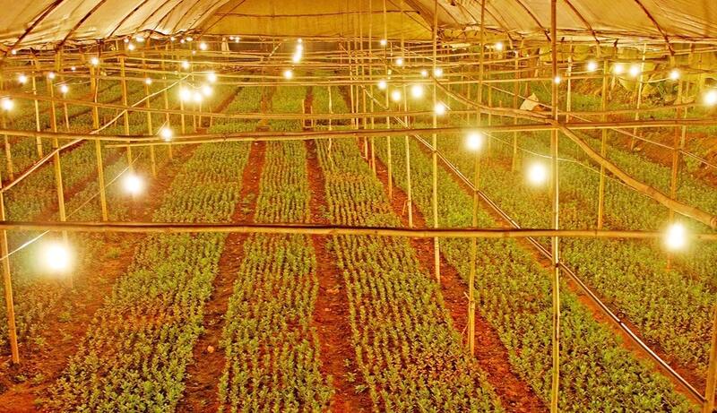 6 ứng dụng đèn led sử dụng trong đời sống hiện nay 8 ứng dụng đèn led