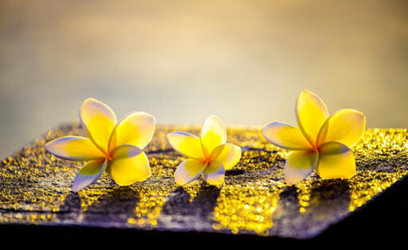 Nguồn sáng là gì