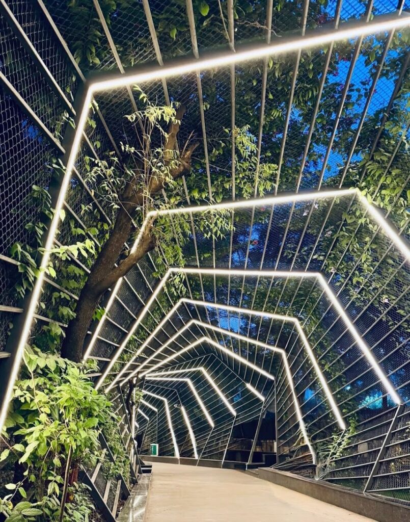 Thiết kế chiếu sáng mỹ thuật