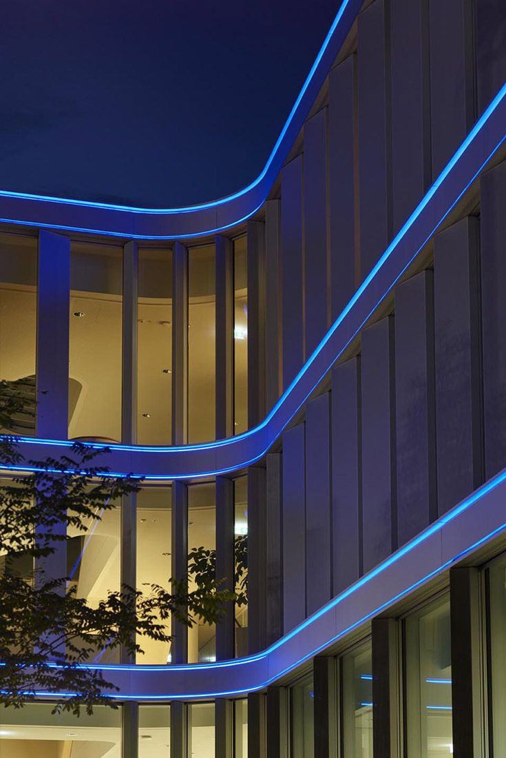 led neon ngoài trời, led silicon, led silicon ngoài trời